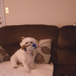 Meet your Posher, Sally